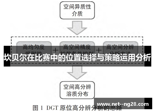 坎贝尔在比赛中的位置选择与策略运用分析