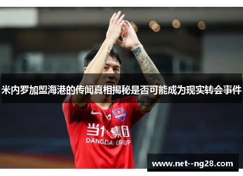 米内罗加盟海港的传闻真相揭秘是否可能成为现实转会事件