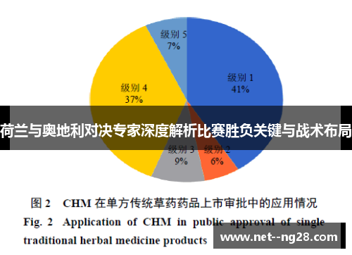 荷兰与奥地利对决专家深度解析比赛胜负关键与战术布局