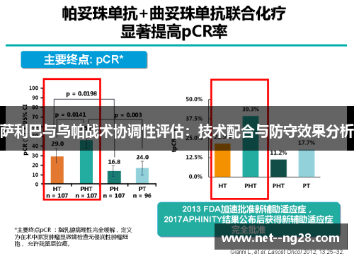 萨利巴与乌帕战术协调性评估：技术配合与防守效果分析