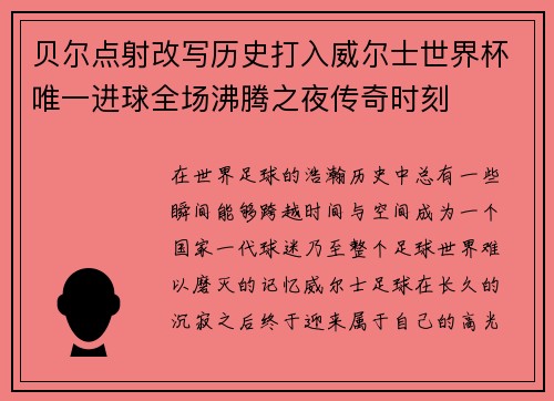 贝尔点射改写历史打入威尔士世界杯唯一进球全场沸腾之夜传奇时刻